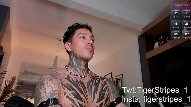 Snapshot of TigerStripes1_ chatting on February 22, 1:11 am TigerStripes1 online show from February 22, 1:11 am