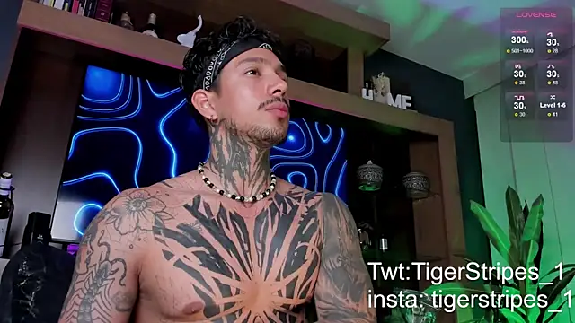 Snapshot of TigerStripes1_ chatting on March 9, 12:31 am TigerStripes1 online show from March 9, 12:31 am