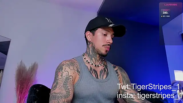 Snapshot of TigerStripes1_ chatting on March 19, 12:59 am TigerStripes1 online show from March 19, 12:59 am