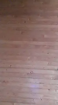 Snapshot of aliosa23 chatting on January 21, 11:35 am aliosa23 online show from January 21, 11:35 am