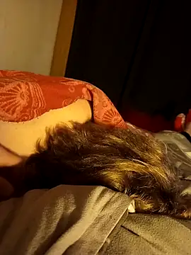 Snapshot of PIercingBoy38 chatting on November 26, 9:16 pm PIercingBoy38 online show from November 26, 9:16 pm