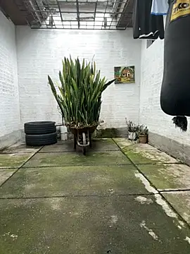 oliver price1 online show from November 16, 8:03 pm