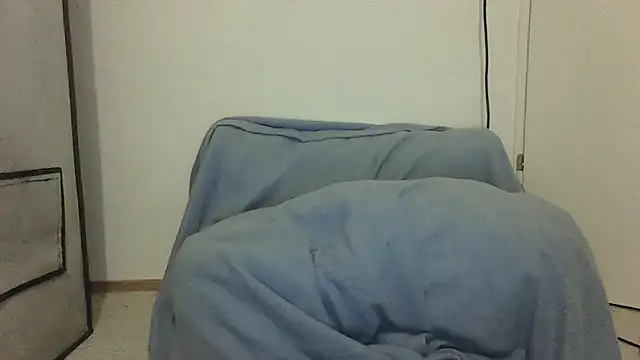 Snapshot of GeilerBull chatting on November 12, 11:47 pm GeilerBull online show from November 12, 11:47 pm