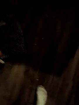 Donglong80 online show from November 17, 11:16 am