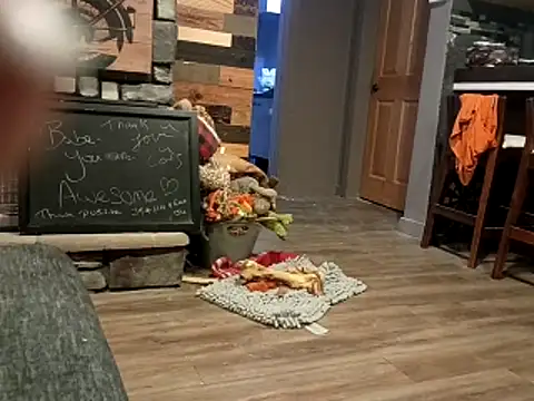 Donglong80 online show from November 25, 12:05 pm